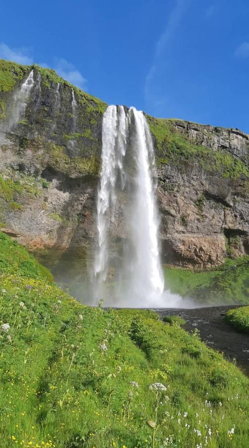 Selfoss Apartment Bagian luar foto